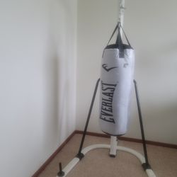 Everlast Steel Heavy Punching Bag and Stand