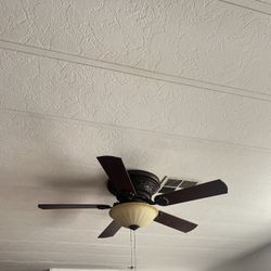 Ceiling Fan 