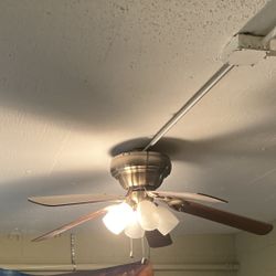 Ceiling Fan