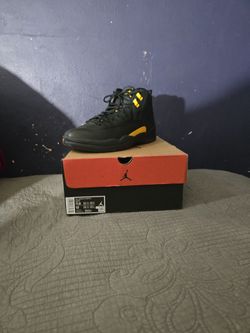 Jordan 12 $145$