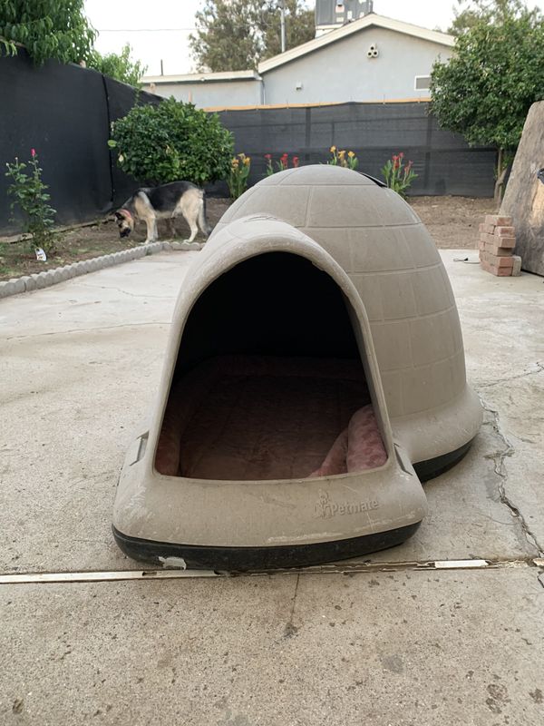 Igloo Dog House by “Petmate” for Sale in Chino Hills, CA OfferUp