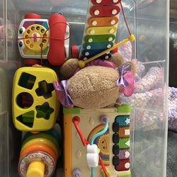 Infant Toy Bundle