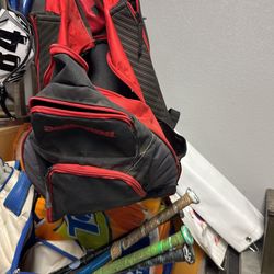 Demarini Softball Bag