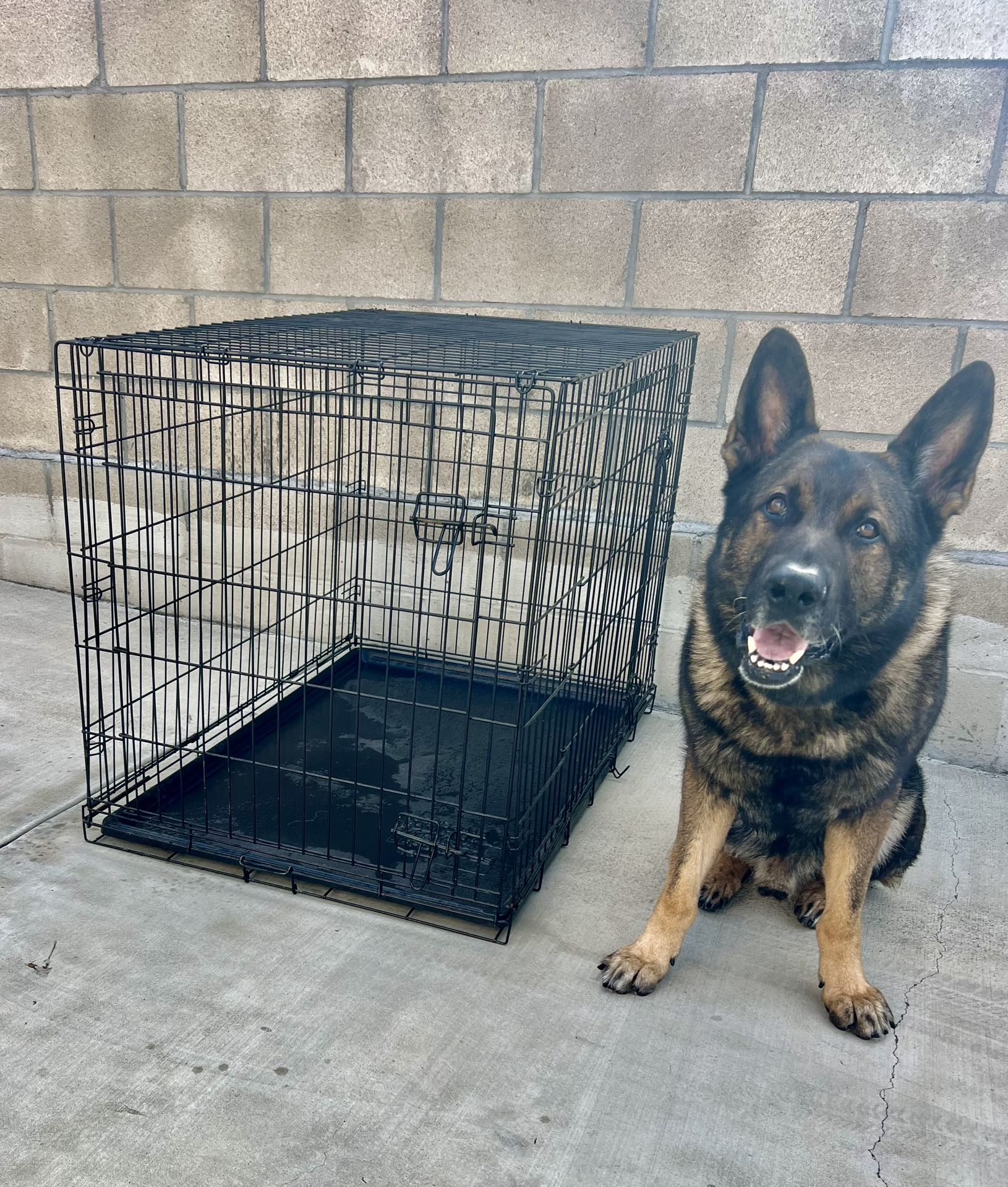 Extra Large Big Dog XL Dog Crate Training Big Dog Crate