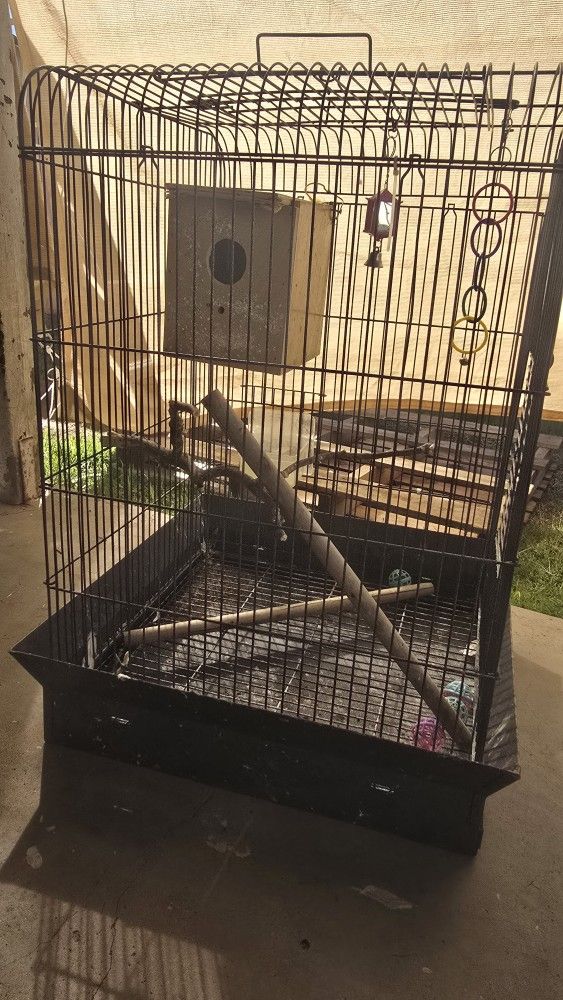 bird cage