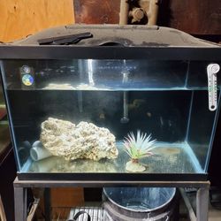 20 GALLON AQUARIUM WITH FILTER AND LED LIGHT 