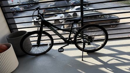Gaint pedal bike