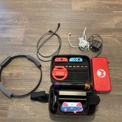 Nintendo Switch (detailed description)