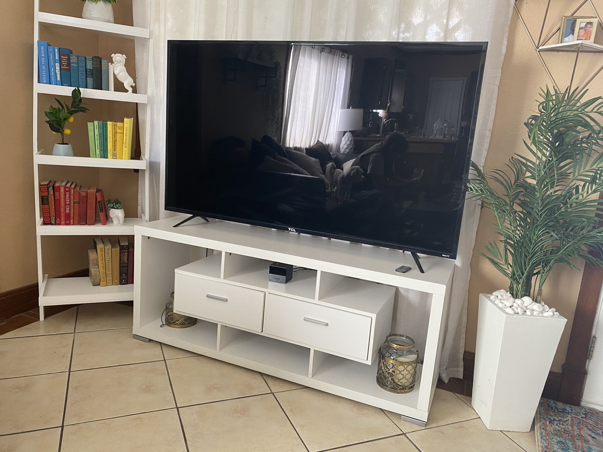 TV stand and book shelf