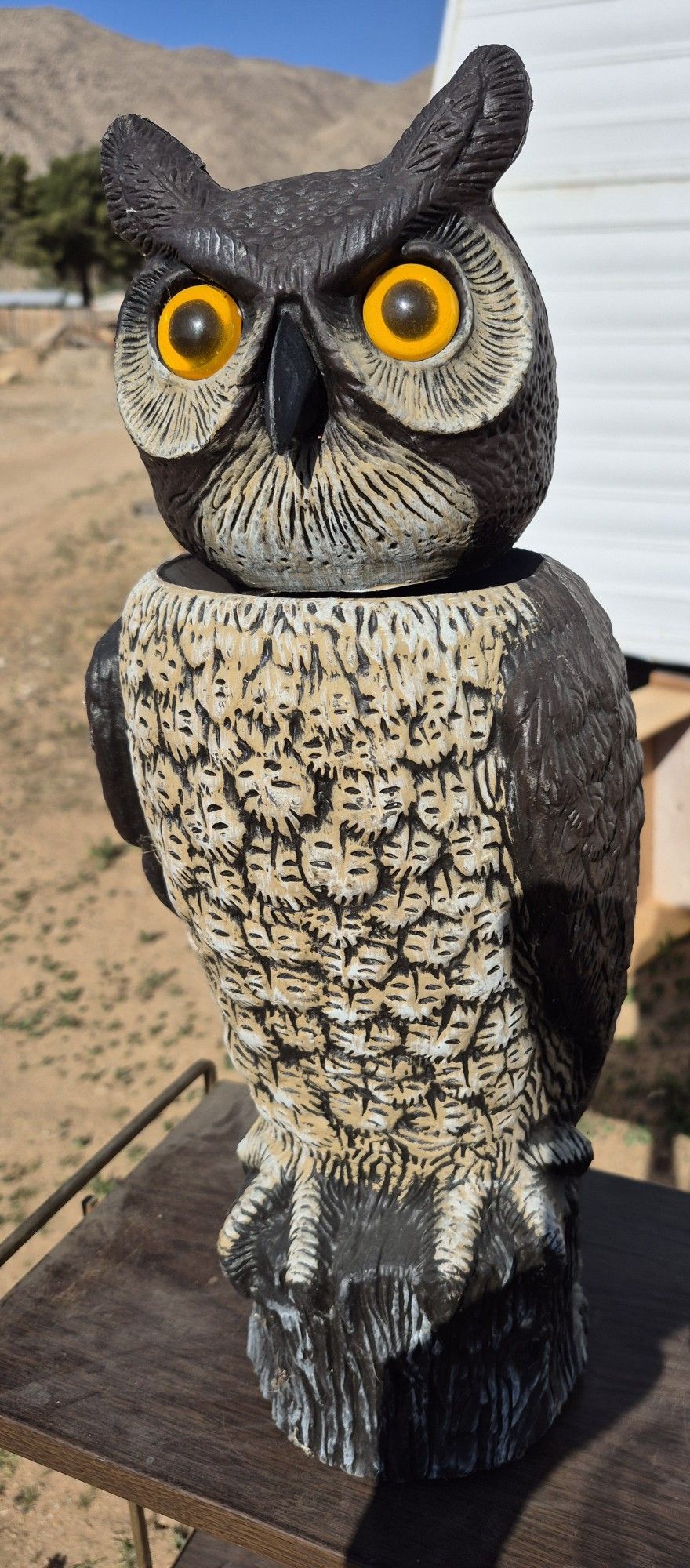 Decorative Owl Bobble Head