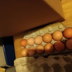 Fresh Farm Eggs