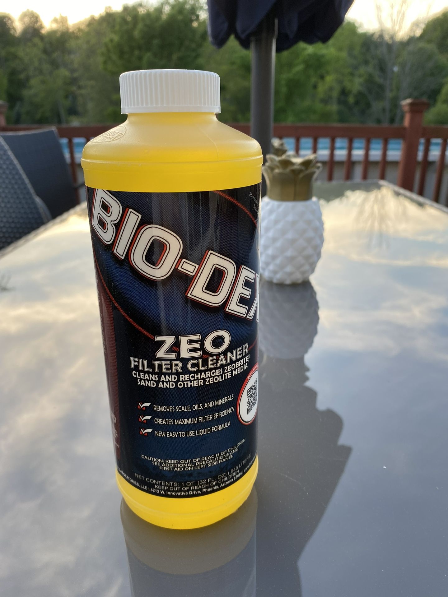 Bio-Dex Zeo Pool Filter Cleaner