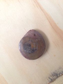 Fossil Necklace Pendant