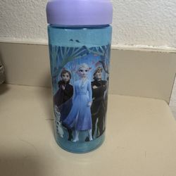 Frozen Water Bottle