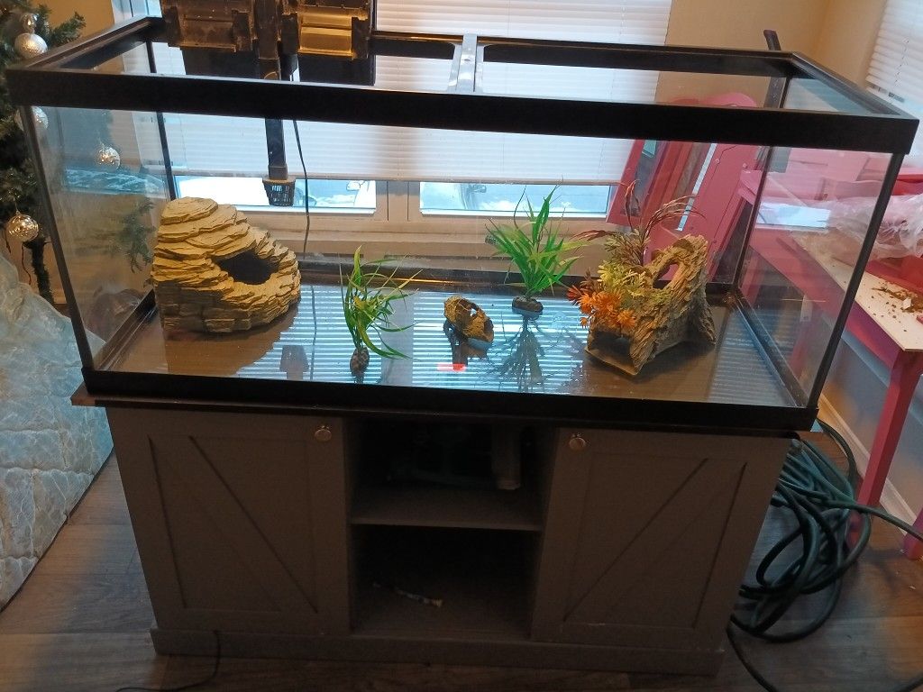 50 Gallon Fish Tank
