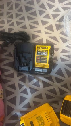 Battery charger 12/20v