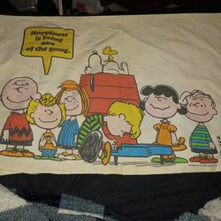 Vintage 1971 pillow case good condition