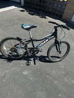 Giant 20 Inch