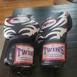 Twins Boxing Gloves 