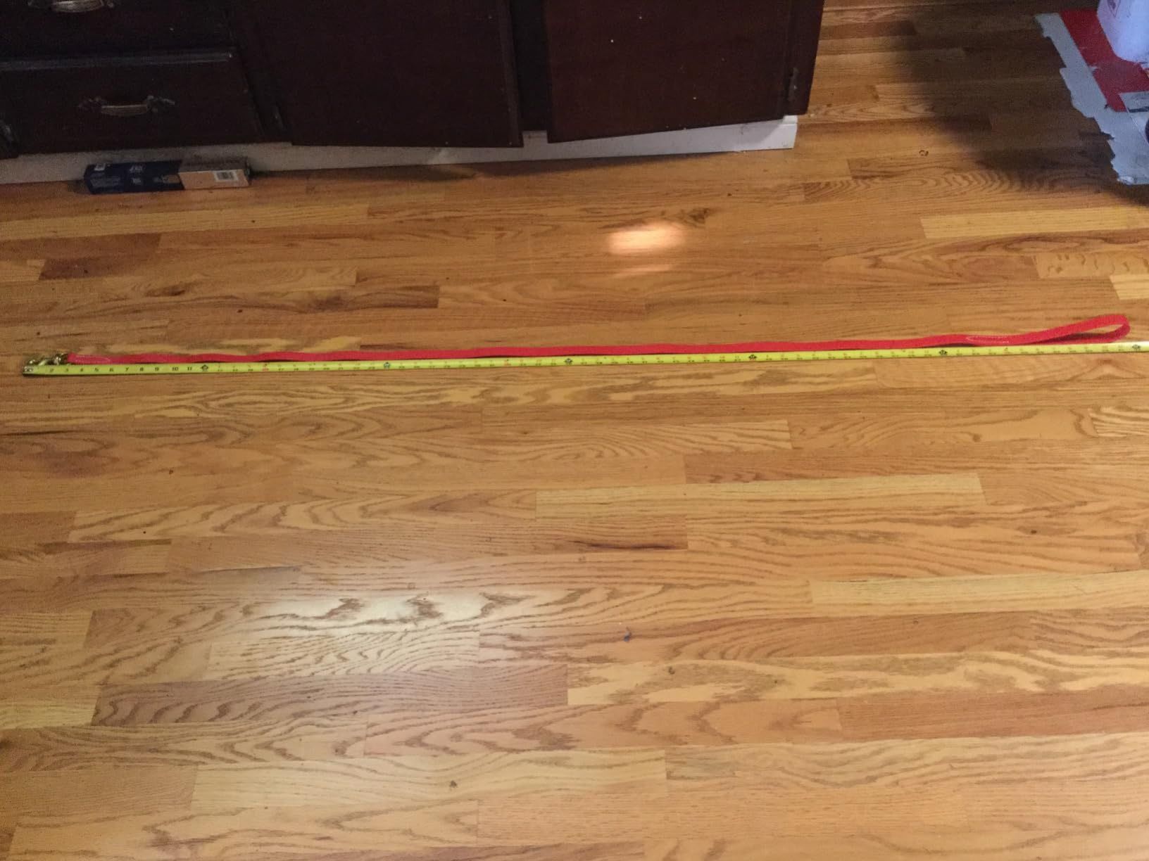 Red Biothane 6 Foot Leash For Dog