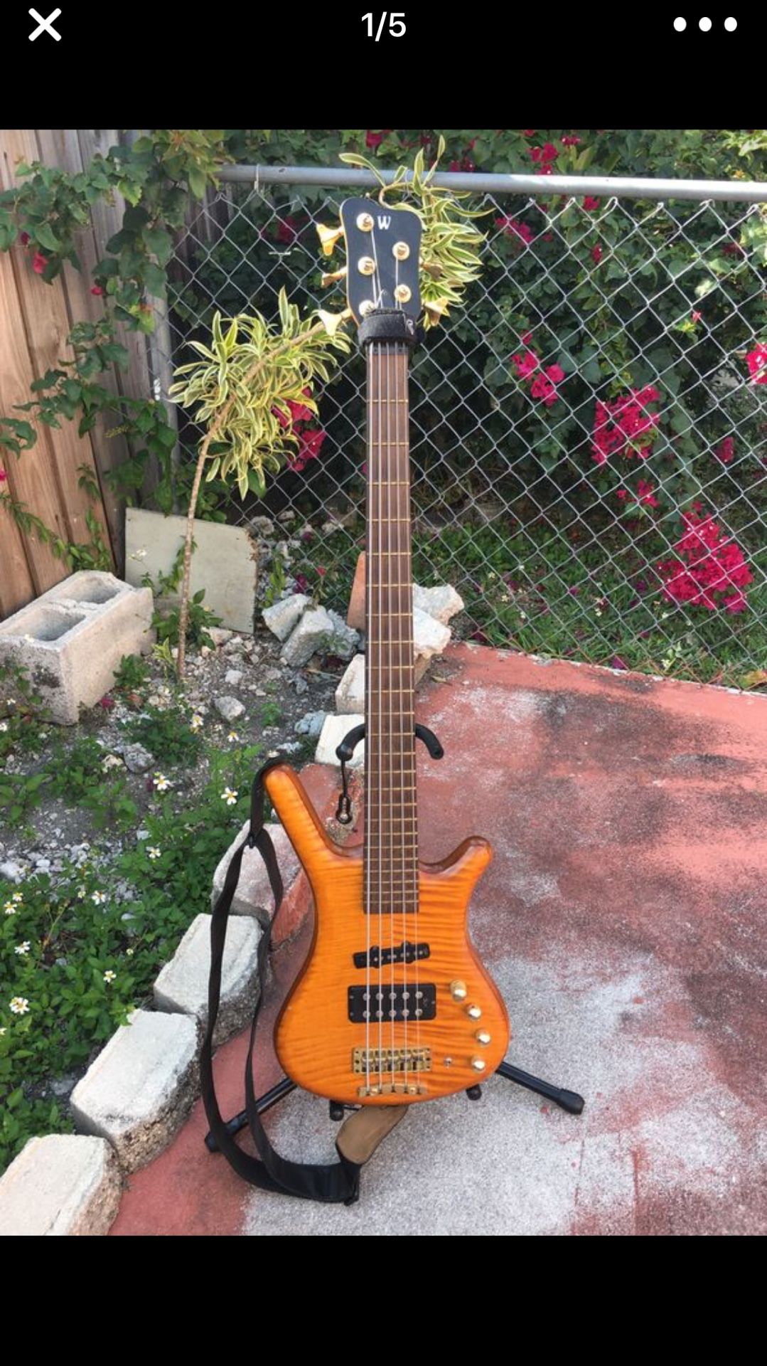 Warwick guitar bass jazzman FNA five string Germany 🇩🇪