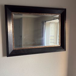 Large Mirror 