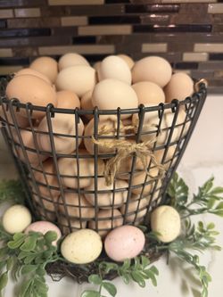 Fresh Chicken Organic Farm Eggs
