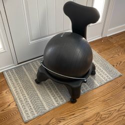 Gaiam Balance Ball Chair