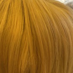 (2) Synthetic Blonde Wigs