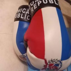Dominican Republic Car Boxing Gloves Mini