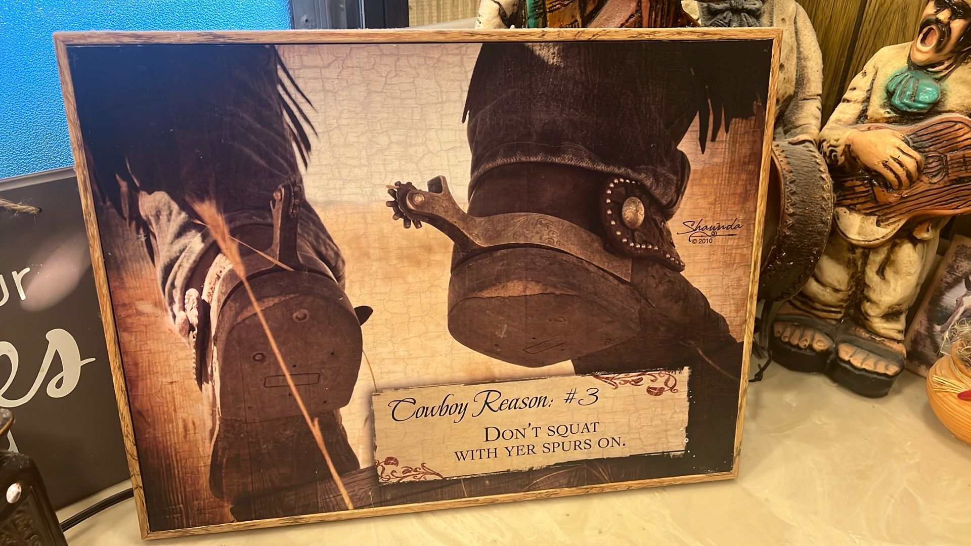 Cute for any bathroom and western decor