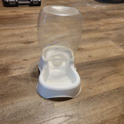 Automatic Water Dispenser For Pets