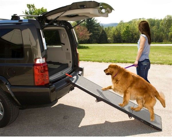 Pet Step Ramp
