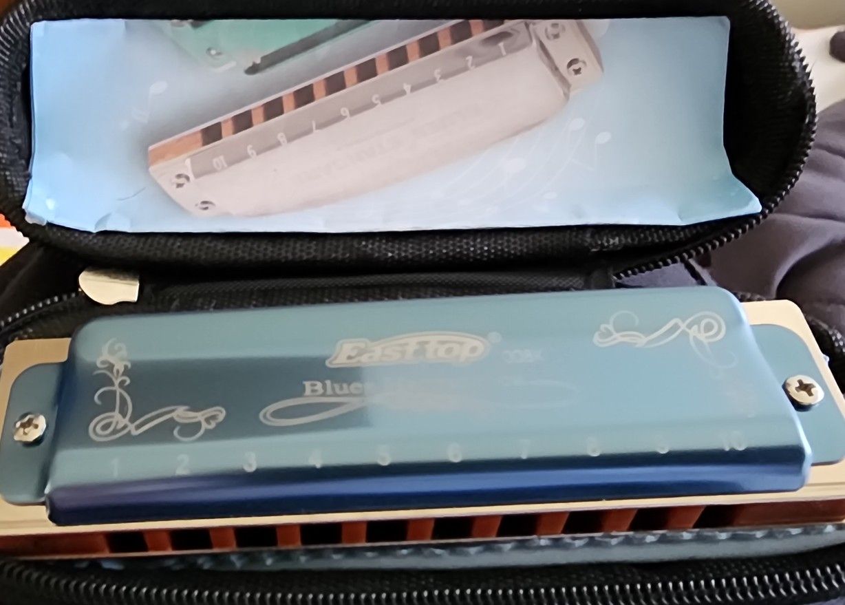 (Brand New) Metal East Top Harmonica
