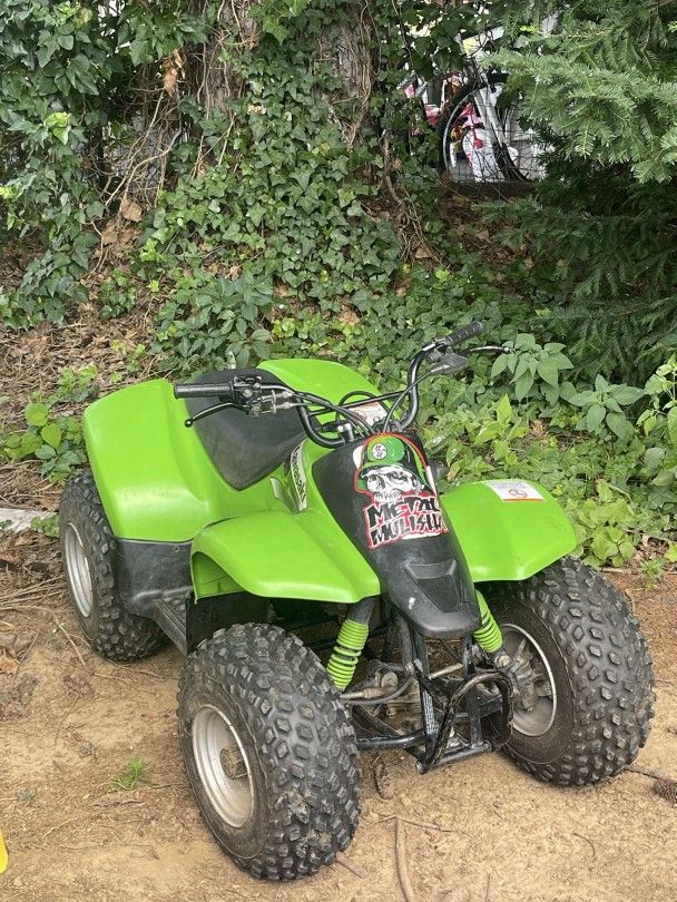 Kawasaki Kfx50