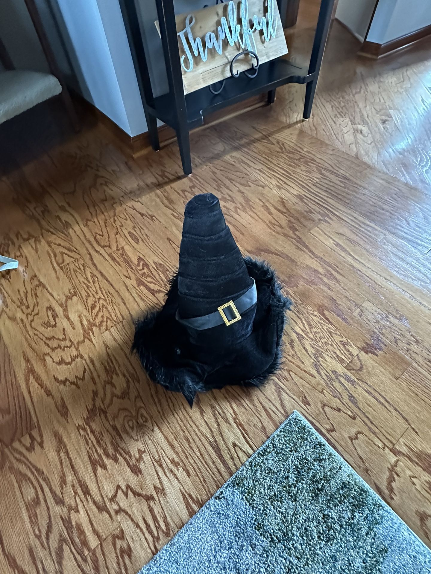Ladies Witch Costume With Hat And Wig