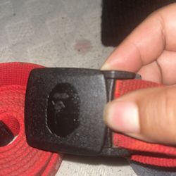 Bape Belt Authentic