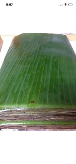 1 pound fresh Banana leaves (use or cooking)