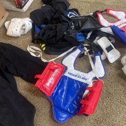 Martial Arts Sparring Gear.
