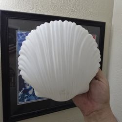 Shell Light Fixture
