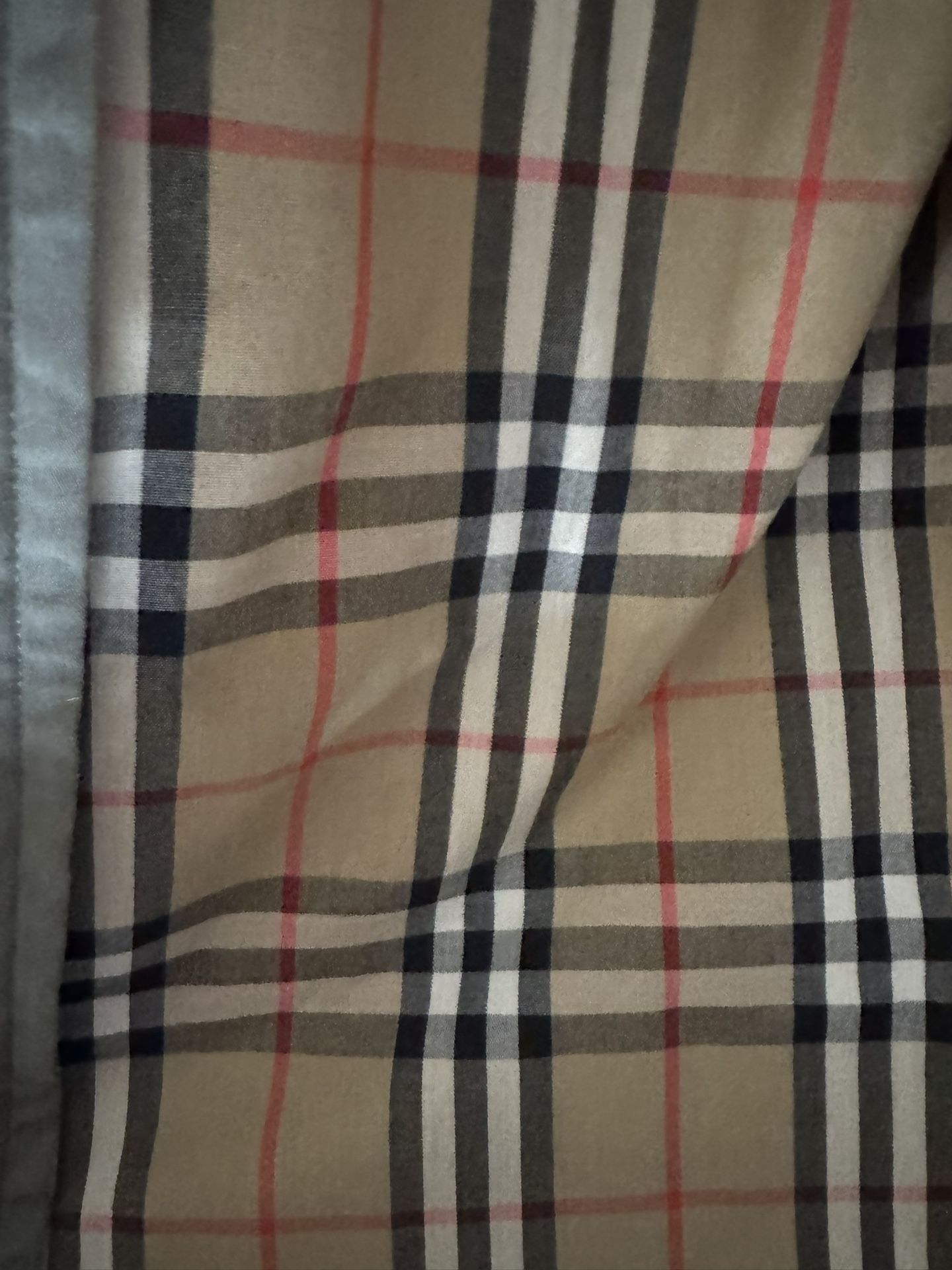 Men’s Burberry Coat