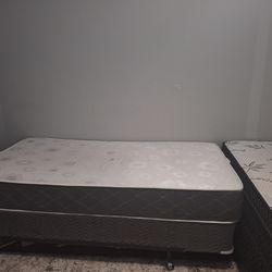 Single bed + mattress+spring box