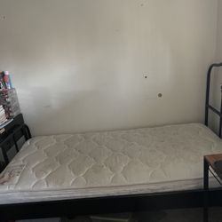 Twin Mattress + Frame
