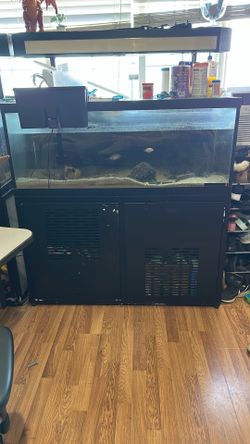 Fish Tank