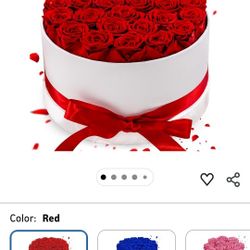 27 Forever Roses in Luxury White Box, Eternal Real Roses Birthday Gifts for Women, Preserved Flowers for Delivery Prime, Anniversary, Valentine's Day,