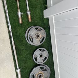 Exercise Equipment Set: Olympic Weights, Olympic Dumbbells, Olympic Barbell
