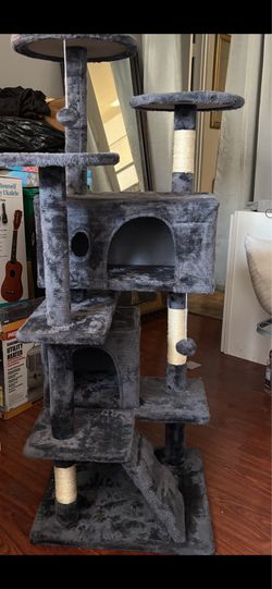 Cat Climbing Tower
