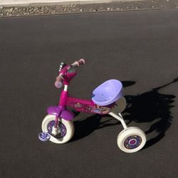 Disney Sofia the First Folding Trike 