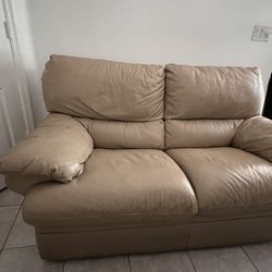 2 Leather Sofas With Cushions