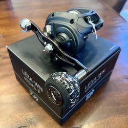 Daiwa Lexa 300H WN